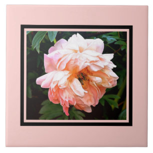 Romantic Spring Peony in Pale Peach Ceramic Tile