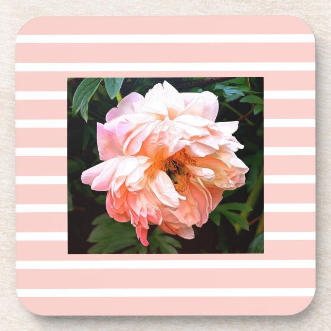 Romantic Spring Peony on Peach Stripes Coaster (Front)
