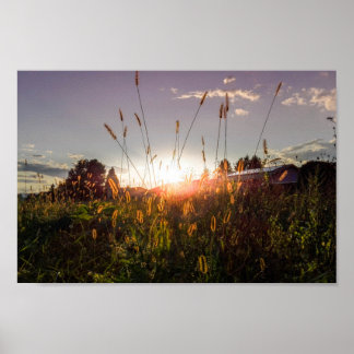 Romantic sunset in the fields (Graz, Austria) Poster