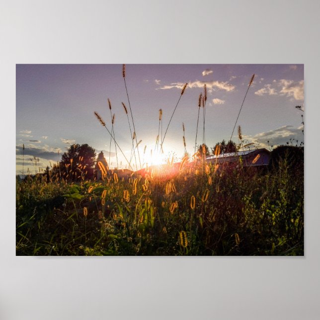 Romantic sunset in the fields (Graz, Austria) Poster (Front)
