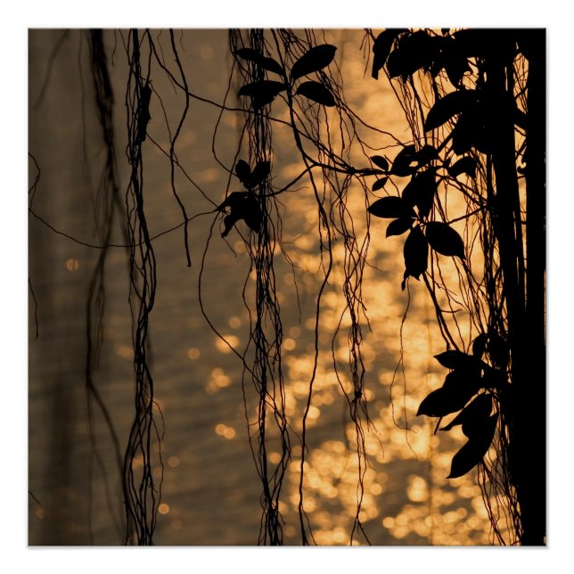 Romantic Sunset Poster (Front)