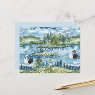 Romantic Swans Blue Lake Postcard
