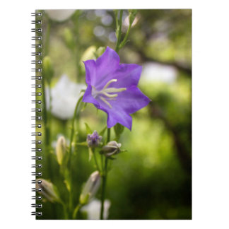 Romantic Trees & Flowers – Botanical Fantasy Boho Notebook
