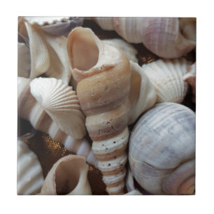 Romantic Tropical Exotic Sea Shells Beach Love Ceramic Tile