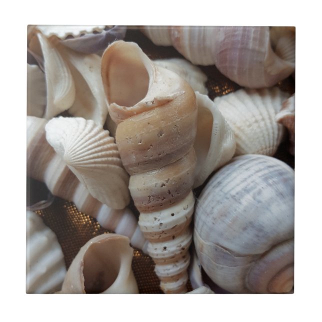 Romantic Tropical Exotic Sea Shells Beach Love Ceramic Tile (Front)