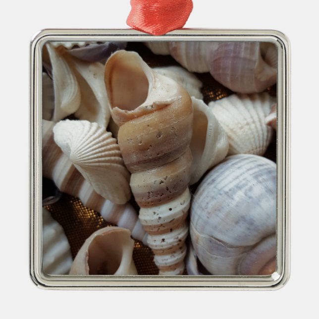 Romantic Tropical Exotic Sea Shells Beach Love Metal Tree Decoration (Front)