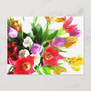 Romantic Tulip Flowers Postcard