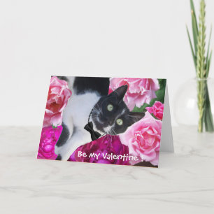 ROMANTIC VALENTINE'S DAY CAT WITH PINK ROSES HOLIDAY CARD