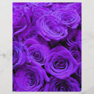 romantic violet purple roses, pretty rose bouquet