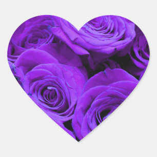 romantic violet purple roses, pretty rose bouquet heart sticker