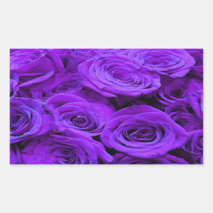 romantic violet purple roses, pretty rose bouquet rectangular sticker