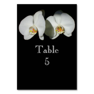 Romantic White Orchids, tropical floral photo Table Number