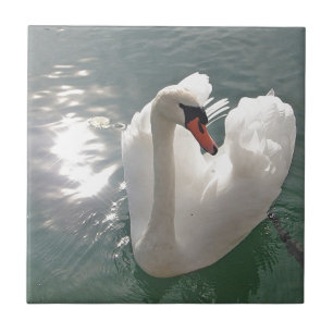 Romantic white swan tile