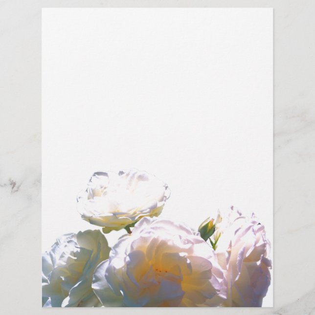 Romantic white, yellow, orange, golden amber roses (Front)