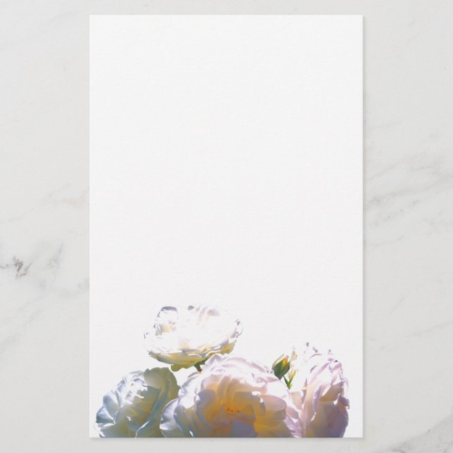 Romantic white, yellow, orange, golden amber roses (Front)