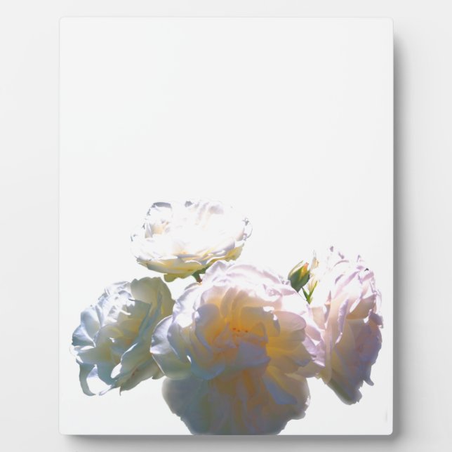 Romantic white, yellow, orange, golden amber roses plaque (Front)
