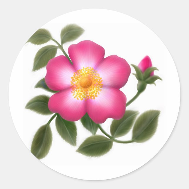 Romantic Wild Rose Classic Round Sticker (Front)