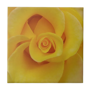 Romantic Yellow Rose Petals Tile