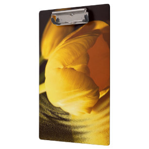 Romantic Yellow Tulip Clipboard