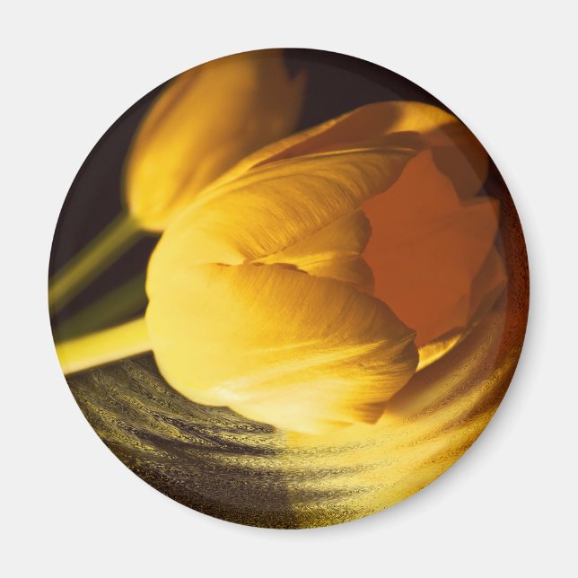Romantic Yellow Tulip Magnet (Front)