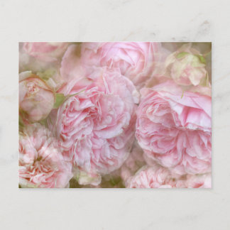 Romantische Rosen - Romantic Roses Postcard