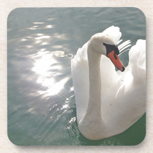 Romantischer weisser Schwan Coaster