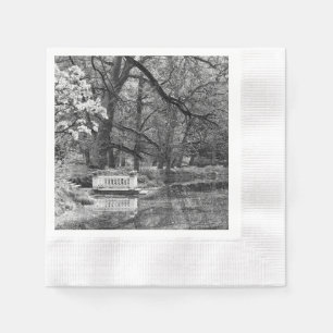 Romatic lake napkin