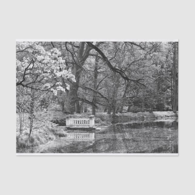 Romatic lake tissue paper (Front)