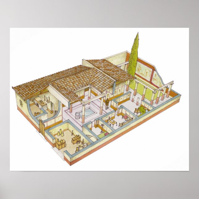 Rome. Domus Poster (Front)