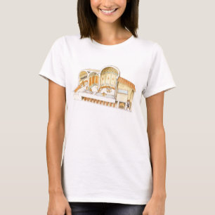 Rome. Private Baths T-Shirt
