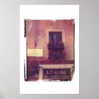 Rome Window with Geraniums