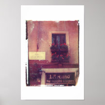 Rome Window with Geraniums