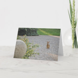 "Romeo" Rabbit Holiday Card