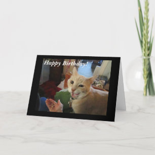 Romeo the Cat Happy Birthday Card