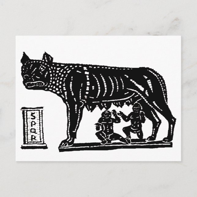 Romulus and Remus Roman Mythology Postcard (Front)