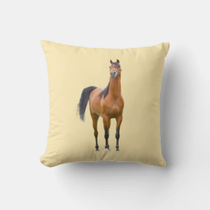 Ron Hevener Cushion