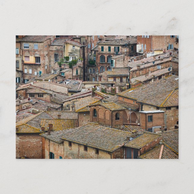 Roofs in Siena postcard (Front)