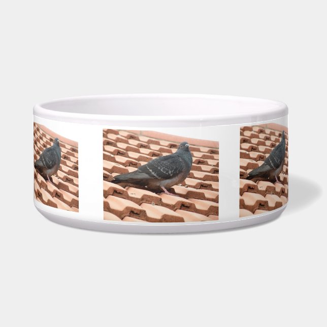 Rooftop Pigeon Dog Bowl (Front)