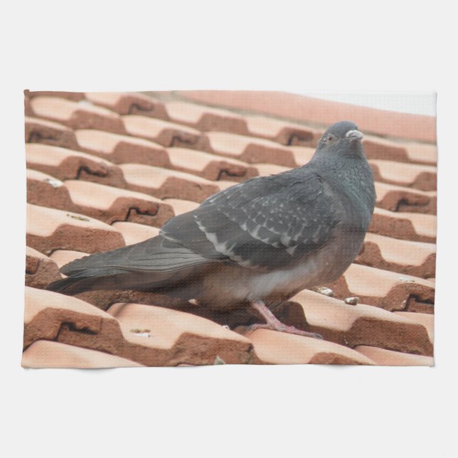 Rooftop Pigeon Kitchen Towel (Horizontal)