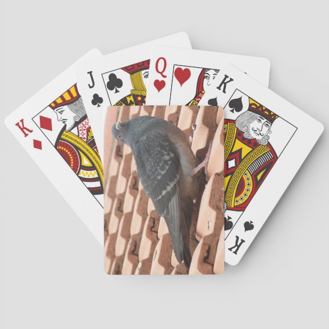 Rooftop Pigeon Playing Cards (Back)