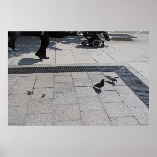 Room for All! Poster (Front)