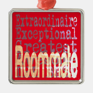 Roommate Extraordinaire Metal Ornament