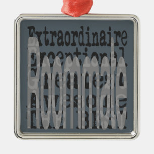 Roommate Extraordinaire Metal Ornament