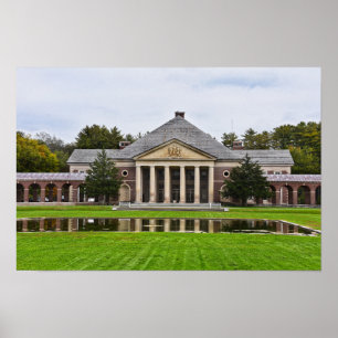 Roosevelt Baths and Spa Building, New York Poster