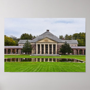 Roosevelt Baths and Spa Building, New York Poster