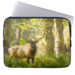 Roosevelt Elk Olympic National Park, Washington Laptop Sleeve