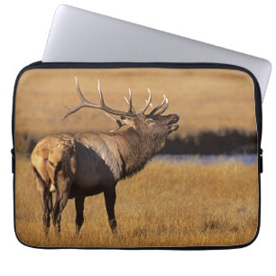 Roosevelt Eull Elk Wyoming Laptop Sleeve