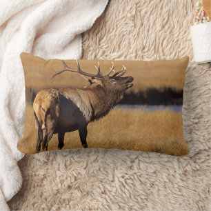 Roosevelt Eull Elk Wyoming Lumbar Cushion