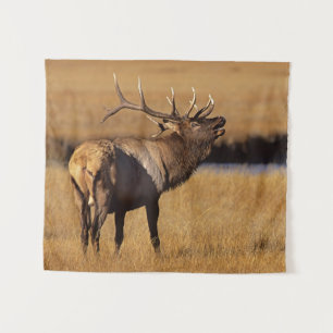 Roosevelt Eull Elk Wyoming Tapestry
