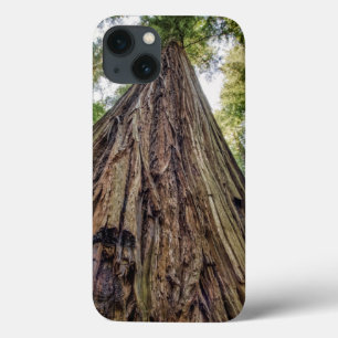 Roosevelt Grove iPhone 13 Case
